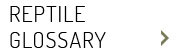 Reptile Glossary